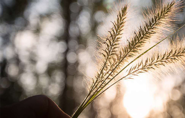 企業(yè)文化(huà)(huà)